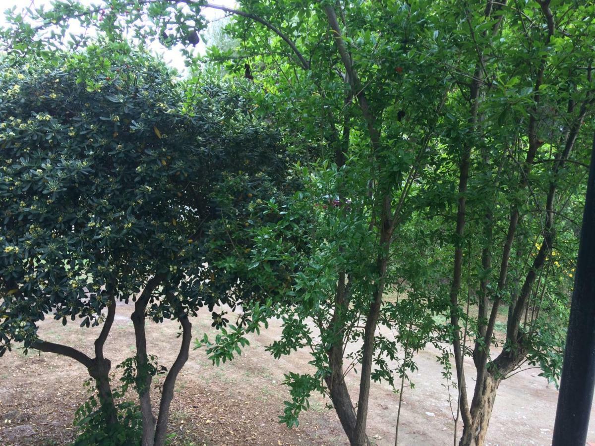 Apartament Periklis Prínos